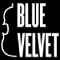 Streichquartett Blule Velvet logo